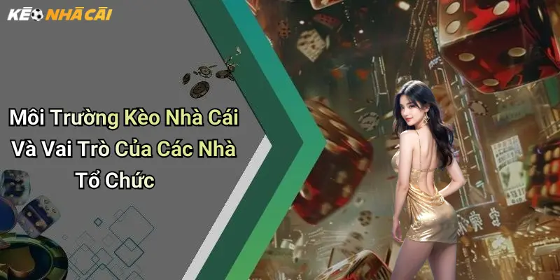 Môi Trường Kèo Nhà Cái Và Vai Trò Của Các Nhà Tổ Chức