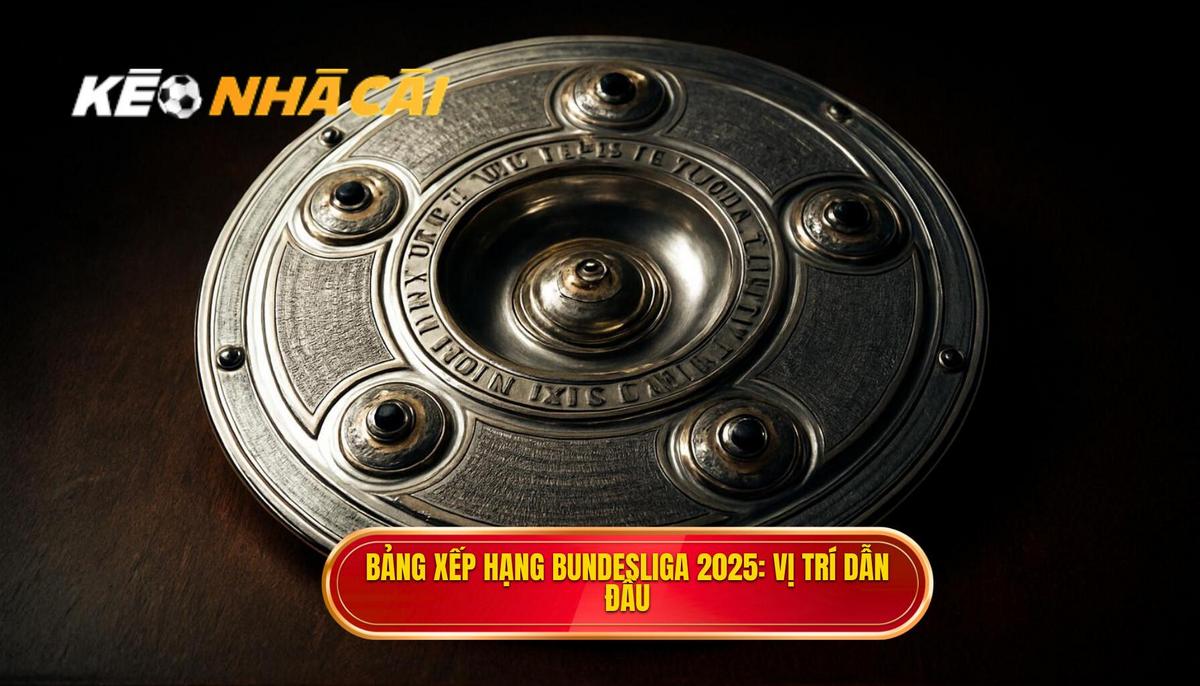 Tổng Quan Bảng Xếp Hạng Bundesliga 2025_ Những Vị Trí Dẫn Đầu