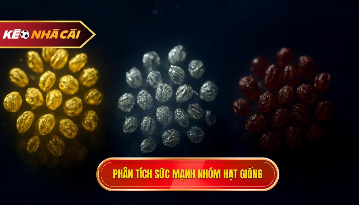 Phân tích sức mạnh các nhóm hạt giống và biến động tỷ lệ cược