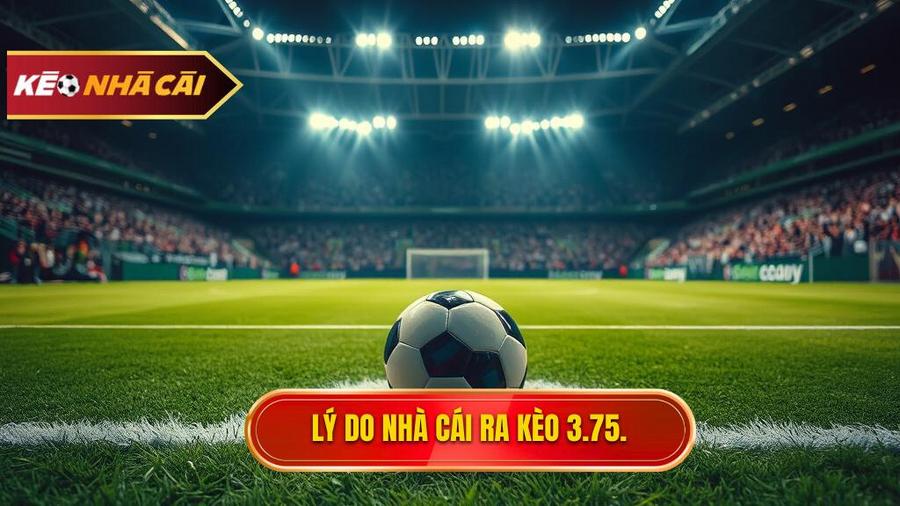 Tại sao nhà cái đưa ra kèo tài xỉu 3.75 hiệp 2?