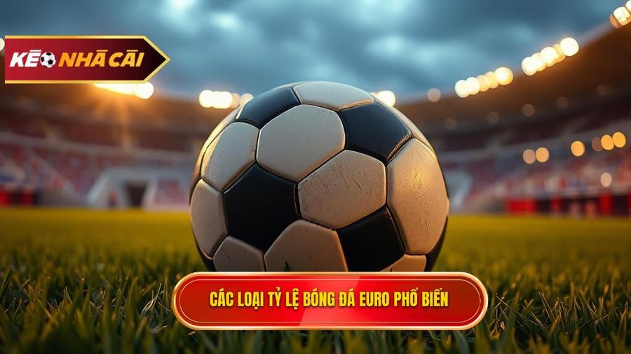 Các loại tỷ lệ bóng đá Euro phổ biến nhất hiện nay