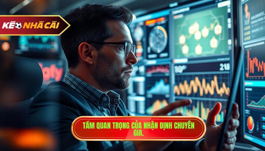 Tầm quan trọng của nhận định chuyên gia.
